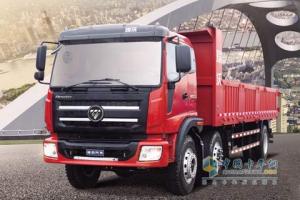 瑞沃中型自卸車 2P22BP4110E(BA)62