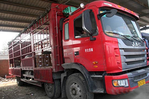 發(fā)現(xiàn)信賴--格爾發(fā)載貨車的品質(zhì)與服務(wù)，棒棒噠！