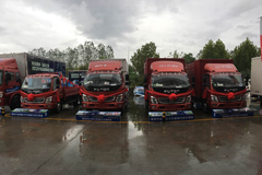 福田奧鈴“惠動”金陵 現(xiàn)場簽單46臺！