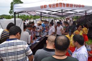 廣汽日野2017新品推薦會(huì)長沙站