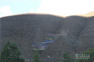 中國(guó)重汽藏地探索世界屋脊:前方目標(biāo)澤當(dāng)