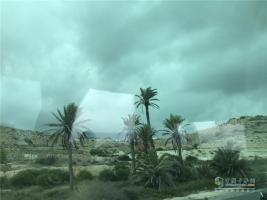 揚帆！起航！東風號踏上賽程，東風隊加油！