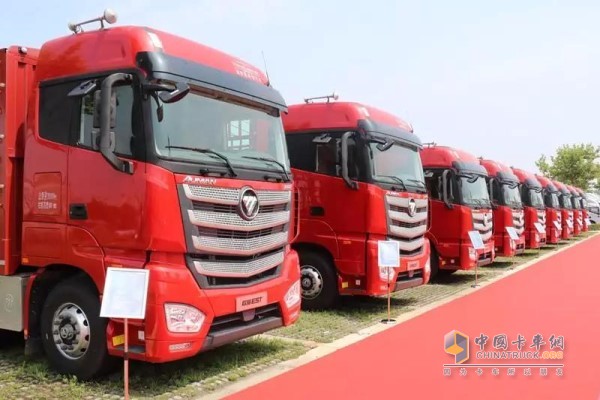 歐曼EST高地板綠通之星