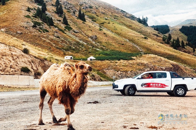 “江鈴域虎國(guó)門(mén)之旅”第八季伊犁站，探索伊犁邊塞之美