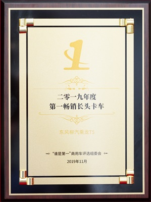 乘龍T5榮獲“2019年度第一暢銷長頭卡車”
