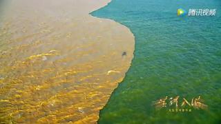 《情滿入?？凇分袊仄笮徒豁懸魳窌蕵非?>
                            <h2>
                                《情滿入?？凇分袊仄笮徒豁懸魳窌蕵非?                           </h2>
                            <p>
                                2020-11-04                                <span>04:14</span>                            </p>
                        </a>
                    </li>
                                    <li>
                        <a href=