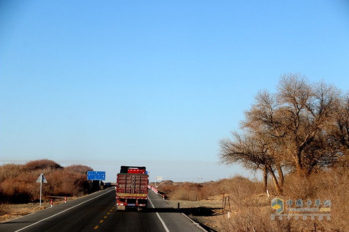 車隊(duì)在沙漠里經(jīng)過(guò)胡楊林