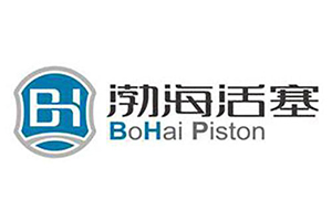 渤?；钊俅稳脒x山東省高端品牌培育企業(yè)