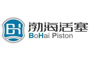 渤?；钊h委書記、董事長(zhǎng)林風(fēng)華獲“山東省優(yōu)秀黨務(wù)工作者”稱號(hào)