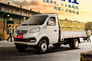 重慶長安跨越王X3|承載超強，創(chuàng)富底氣壯!