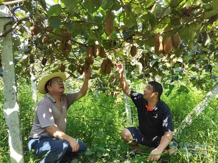 慶鈴五十鈴,輕卡載貨車