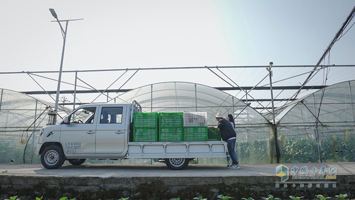 巔峰鉅惠，嗨購(gòu)雙11.11