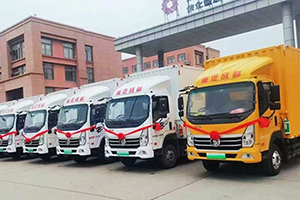 10臺(tái)！重汽王牌新能源輕卡交車