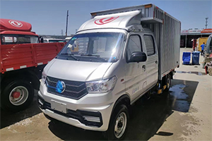 車主故事：回鄉(xiāng)創(chuàng)業(yè)有東風(fēng)輕型車助力，幸福生活so easy