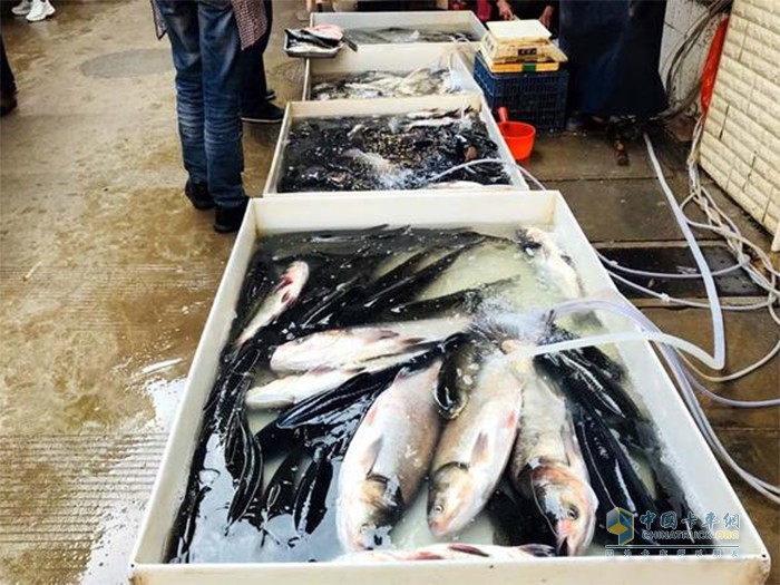 5年行駛50萬公里，劉師傅：“長安跨越王X3太抗造！”