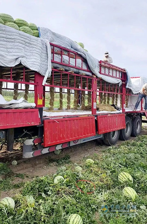 伊頓康明斯：披荊斬棘的夫妻檔，攜手開辟幸福貨運路！