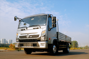 金秋飛龍起，豐收情更濃-東風(fēng)多利卡飛龍閃耀上市，誠意滿滿