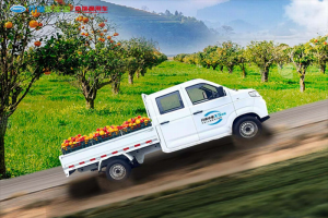 鄉(xiāng)村運(yùn)輸新動(dòng)力：開瑞小象X5雙排引領(lǐng)綠色出行潮流