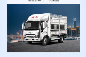 藍(lán)牌輕卡新選擇，領(lǐng)航大G-LNG氣體機(jī)輕卡，能省會賺，創(chuàng)富給力！