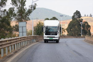 馭電綻芳華，比亞迪與云南花海的綠色交響