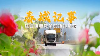 花車相映，比亞迪T5EV見證著云南花海的熱烈