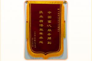 雙線協(xié)同快速響應-中國重汽高效服務贏得客戶贊譽！