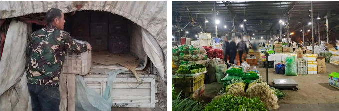 蔬菜運(yùn)輸選什么車？看看王師傅怎么說