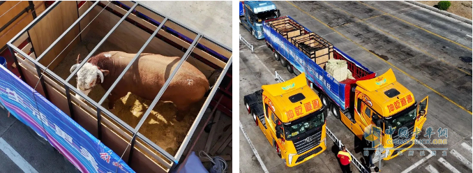 解放卡車：國車送國禮，犇！