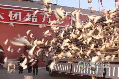 如何練就萬無一失真功夫 全面解析歐航超卡的品質(zhì)密碼