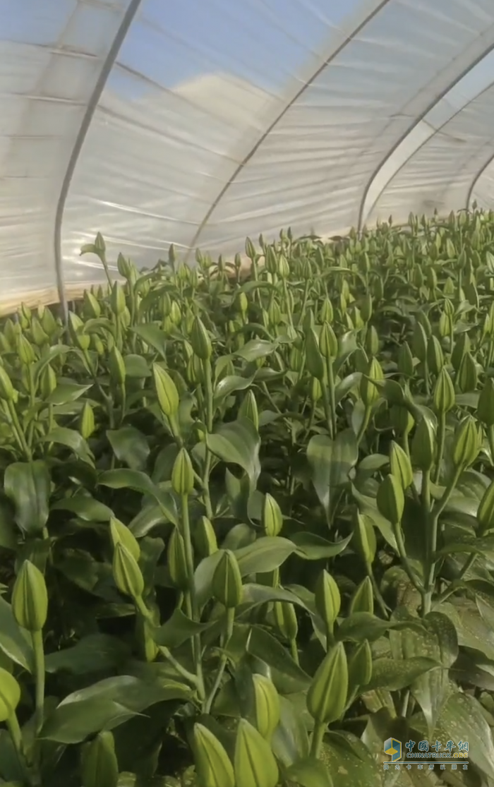 用戶(hù)故事 浪漫派送中，運(yùn)花小哥姜師傅的幸福與Ta有關(guān)