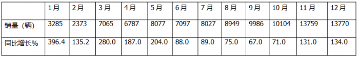 12月新能源輕卡銷13770輛再創(chuàng)新高！ 2024全年累銷9.9萬輛收官