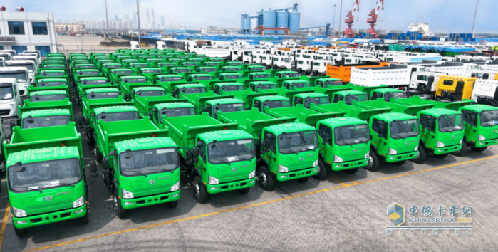 生而全球！解放國際迎來成立一周年