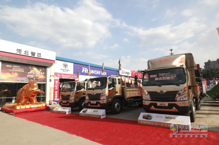 領(lǐng)航·金牛王華北上市