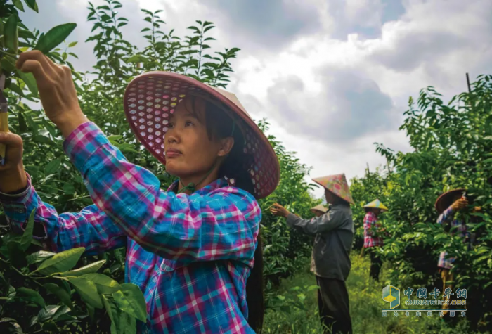 東風(fēng)汽車鄉(xiāng)村振興案例入選國(guó)家“藍(lán)皮書”，這波操作666