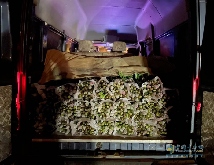 恰是花農(nóng)采摘時 東風御風成為施挎所的“護花使者”