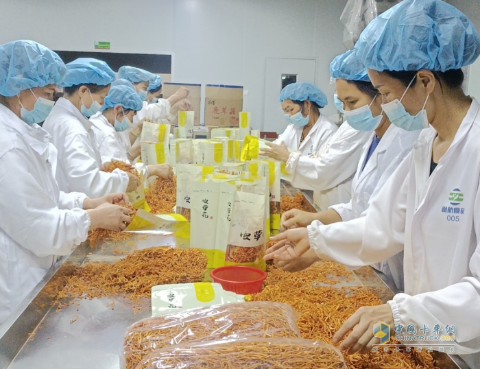 東風(fēng)汽車鄉(xiāng)村振興案例入選國(guó)家“藍(lán)皮書”，這波操作666