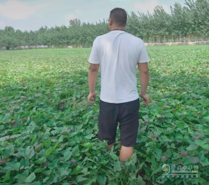 東風小霸王W15，帶他踏上豐收后的坦途