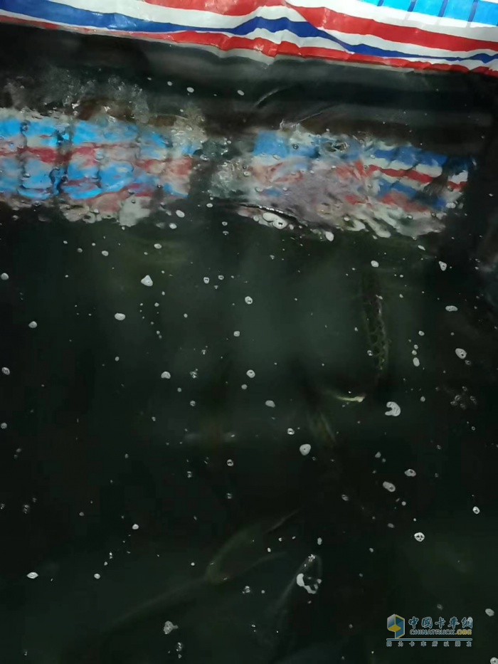 運(yùn)魚(yú)車(chē)拋錨，解放滕州服務(wù)站38℃高溫3小時(shí)緊急救援