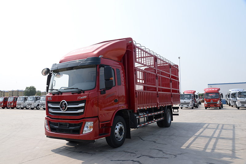 陜汽輕卡 德龍N3000 復(fù)合版 220馬力 4×2 國五 6.75米 排半倉柵式輕卡(YTQ5180CCYFM50A0) 