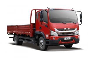 福田 時代領(lǐng)航ES5 190馬力 4X2 5.4米 國六 排半欄板輕卡(BJ1104VEPFD-02)